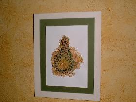 Poire Relief